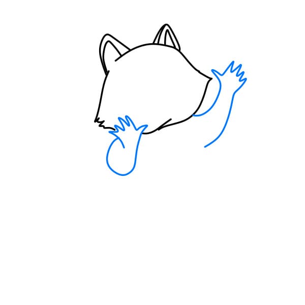 Hướng dẫn vẽ con gấu mèo đơn giản và đẹp cho bé - Bước 3