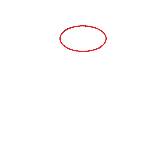 Hướng dẫn cách vẽ con khỉ đơn giản và thật đẹp cho bé - Bước 1