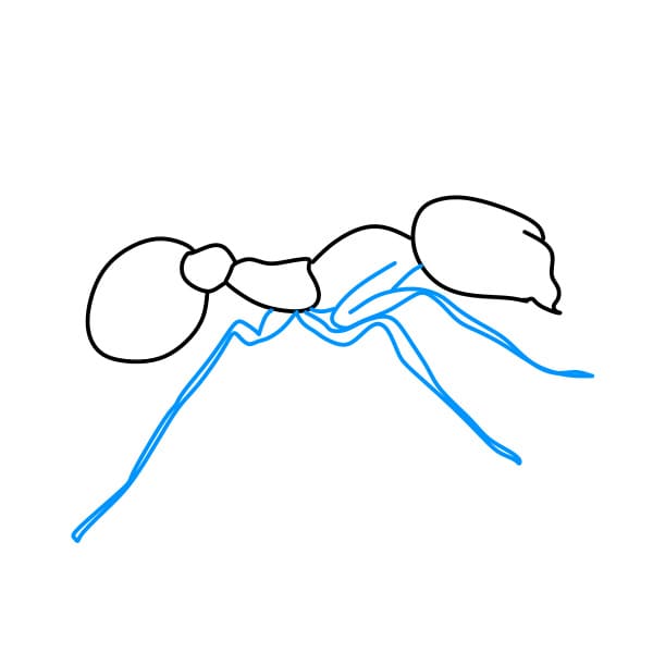 Hướng dẫn vẽ con kiến đơn giản cho bé - Bước 4