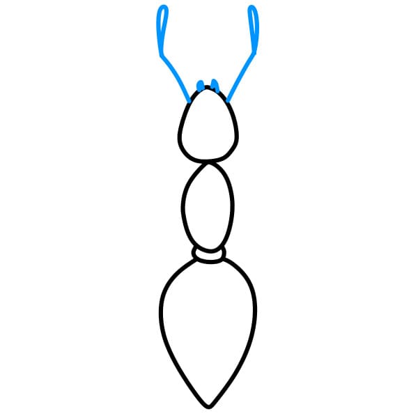 Hướng dẫn vẽ con kiến màu đen - Bước 4