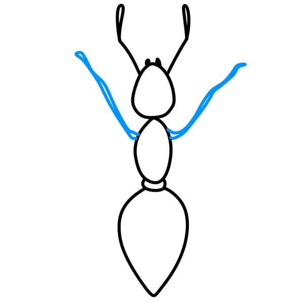 Hướng dẫn vẽ con kiến màu đen - Bước 5