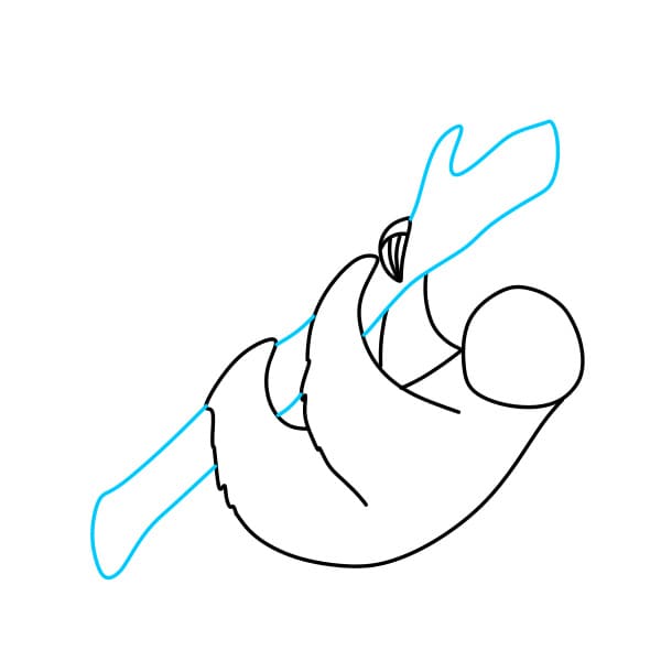 Hướng dẫn vẽ con lười đơn giản - Bước 4