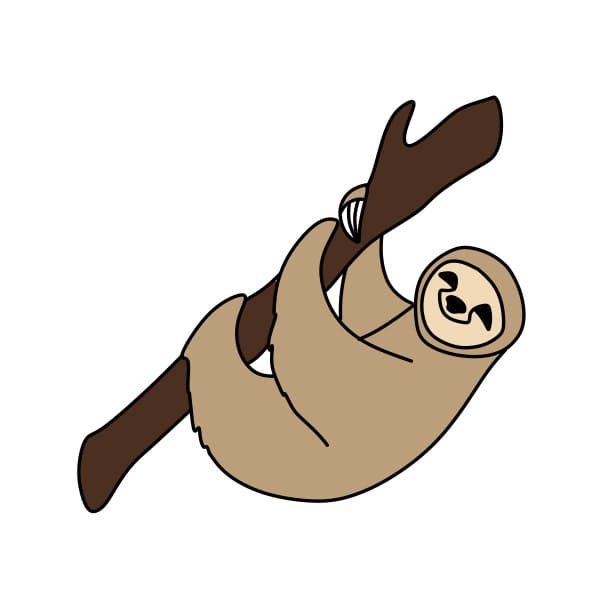 Hướng dẫn vẽ con lười đơn giản