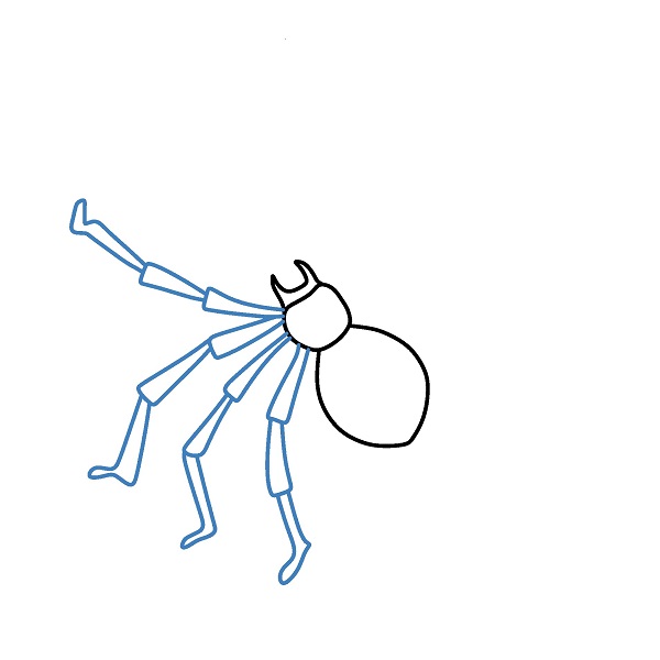 Hướng dẫn vẽ một cọn nhện đơn giản. - Bước 3