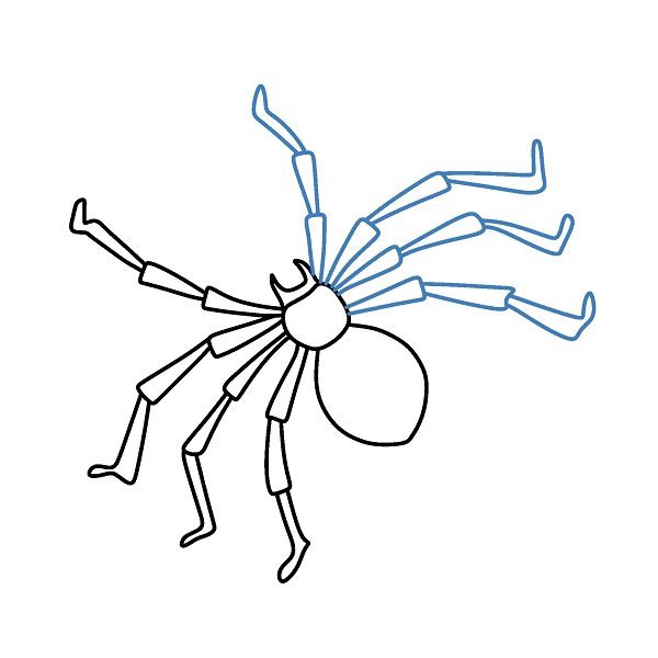 Hướng dẫn vẽ một cọn nhện đơn giản. - Bước 4