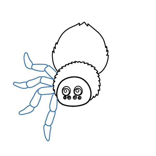 Hướng dẫn vẽ một con nhện hoạt hình. - Bước 6