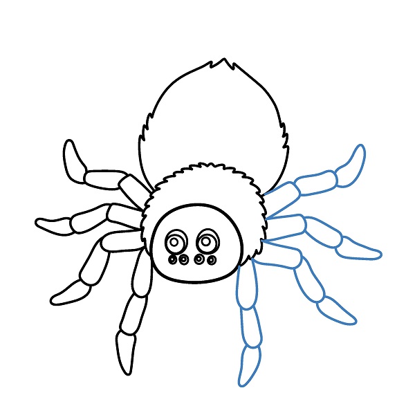 Hướng dẫn vẽ một con nhện hoạt hình. - Bước 7