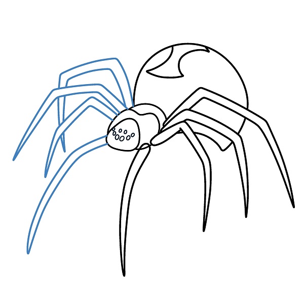 Hướng dẫn vẽ con nhện độc. - Bước 6