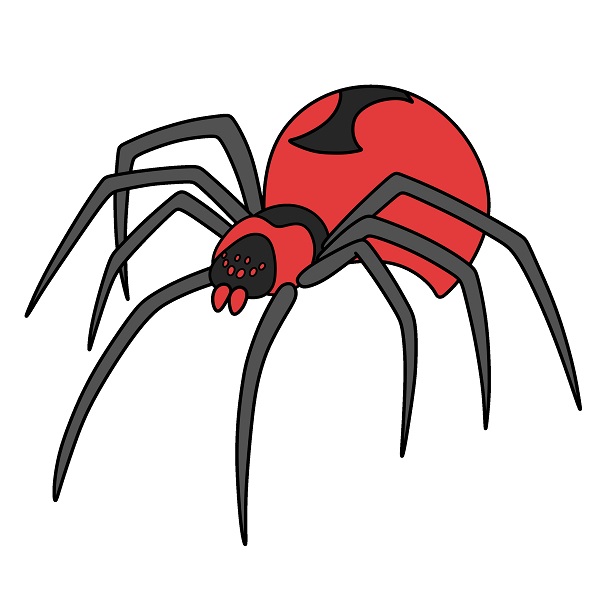 Hướng dẫn vẽ con nhện độc. - Bước 8