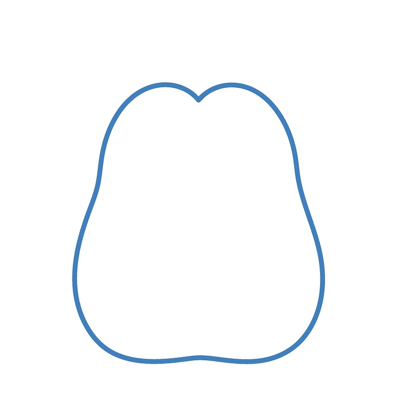 Cách vẽ con nhím đơn giản. - Bước 1