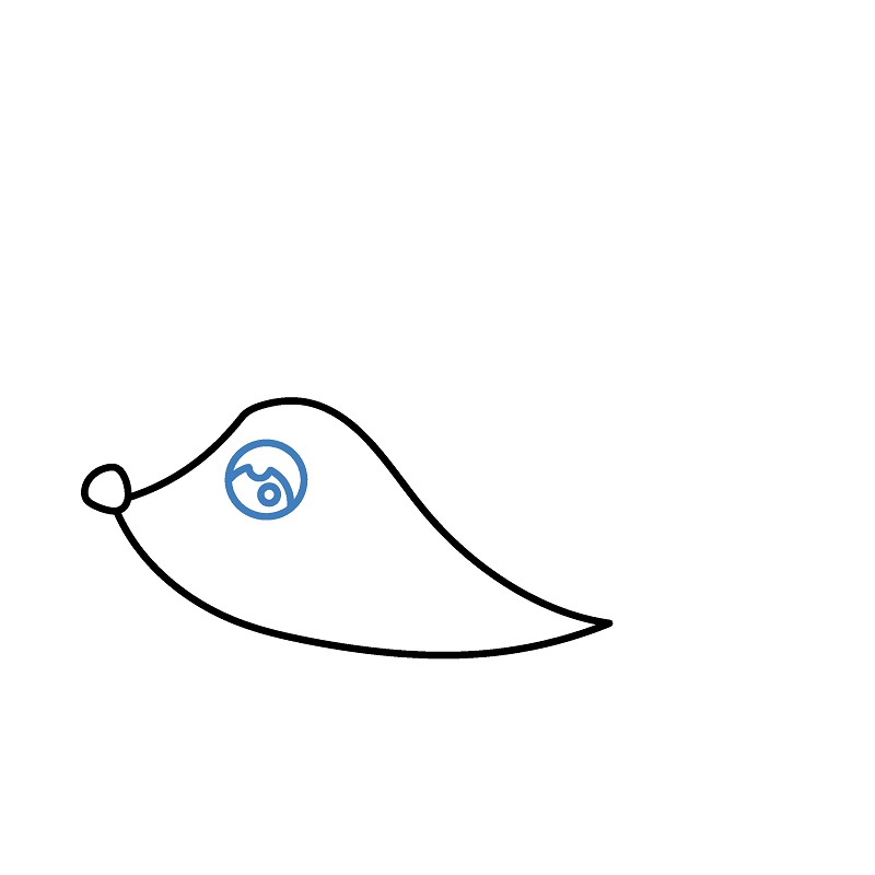 Hướng dẫn vẽ con nhím con. - Bước 3