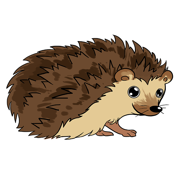 Cách vẽ Con Nhím