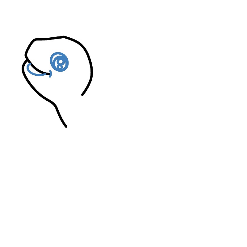 Hướng dẫn vẽ con rùa vui vẻ. - Bước 2