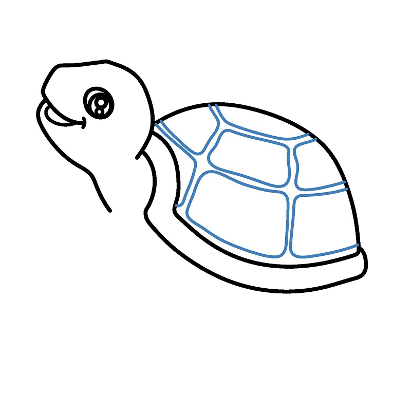 Hướng dẫn vẽ con rùa vui vẻ. - Bước 4