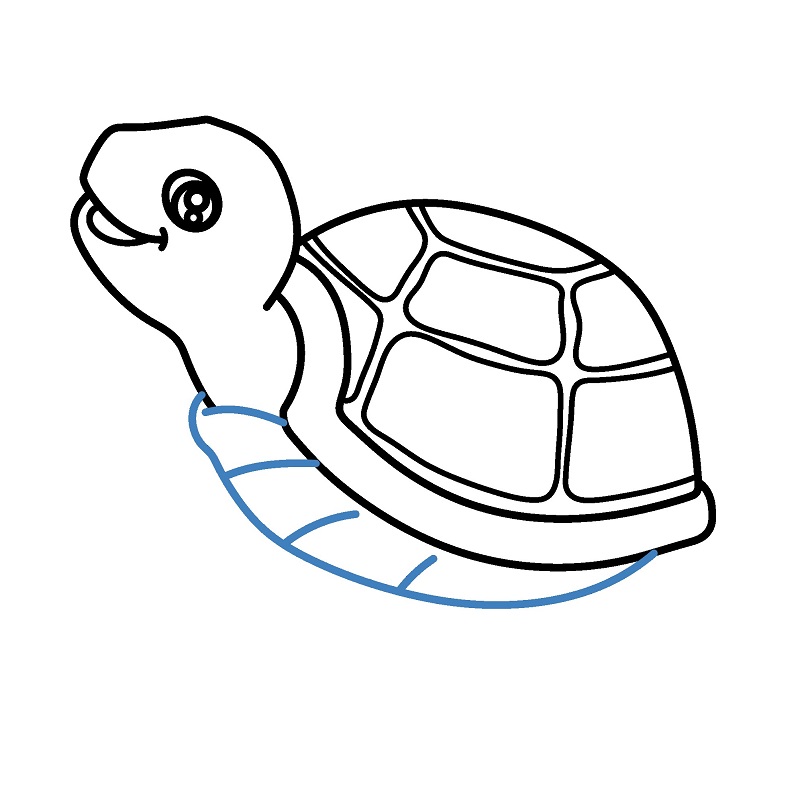 Hướng dẫn vẽ con rùa vui vẻ. - Bước 5