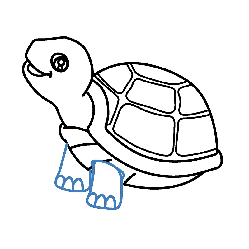 Hướng dẫn vẽ con rùa vui vẻ. - Bước 6