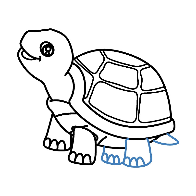 Hướng dẫn vẽ con rùa vui vẻ. - Bước 7
