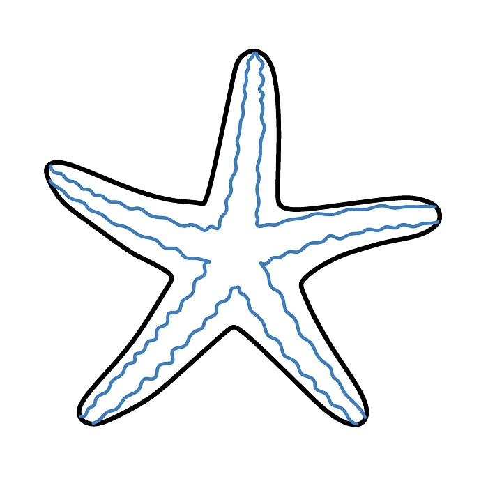 Hướng dẫn vẽ con sao biển thon gọn. - Bước 2