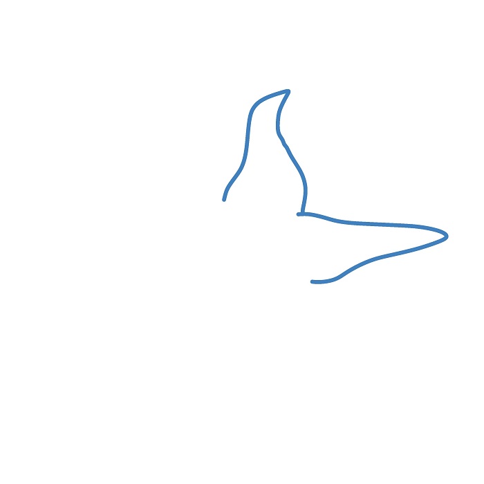 Hướng dẫn vẽ con sao biển chân thực. - Bước 1