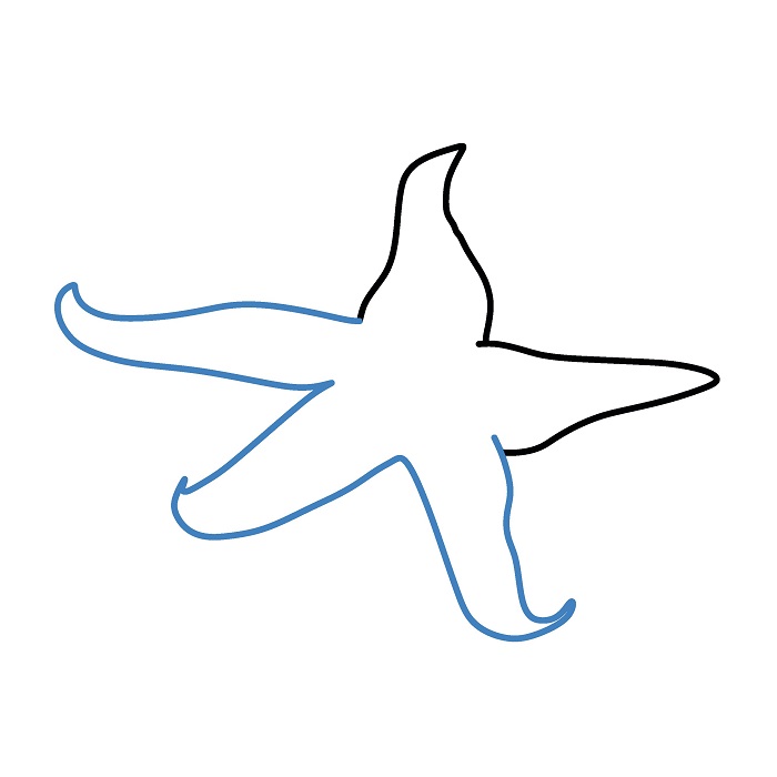 Hướng dẫn vẽ con sao biển chân thực. - Bước 2