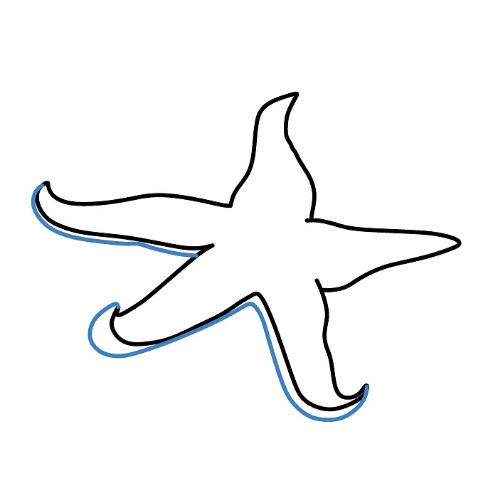 Hướng dẫn vẽ con sao biển chân thực. - Bước 3