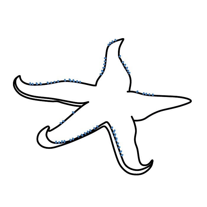 Hướng dẫn vẽ con sao biển chân thực. - Bước 4