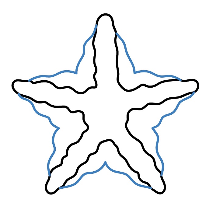 Hướng dẫn vẽ con sao biển chi tiết và đẹp. - Bước 2