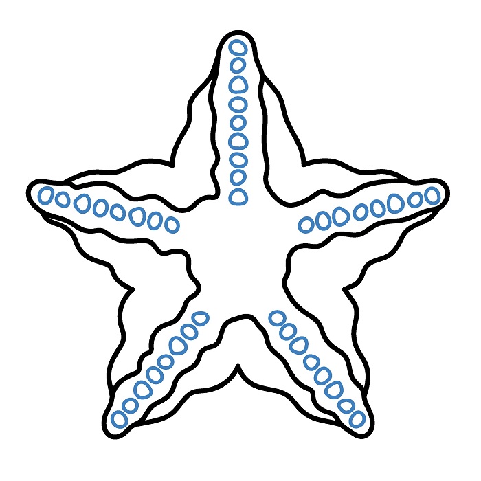 Hướng dẫn vẽ con sao biển chi tiết và đẹp. - Bước 3