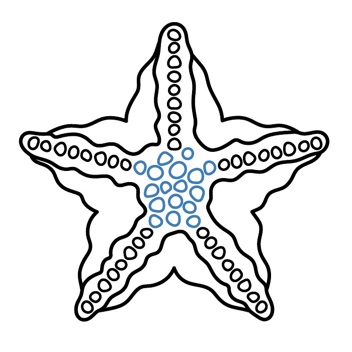 Hướng dẫn vẽ con sao biển chi tiết và đẹp. - Bước 4