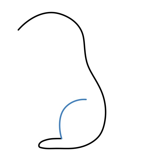 Hướng dẫn vẽ con sóc nâu đáng yêu. - Bước 2