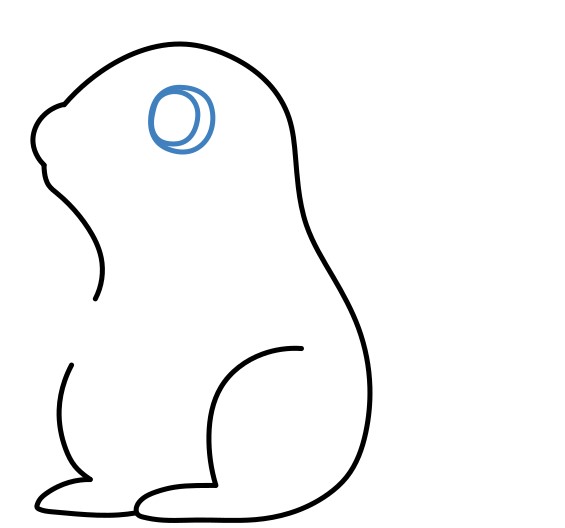 Hướng dẫn vẽ con sóc nâu đáng yêu. - Bước 5