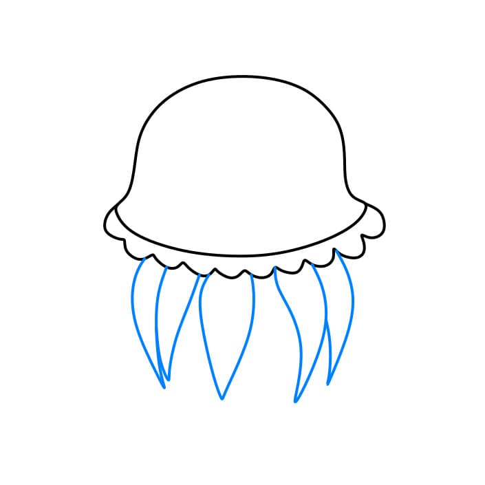 Hướng dẫn cách vẽ con sứa đơn giản và dễ thương - Bước 2