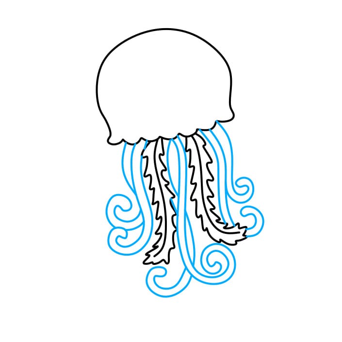 Hướng dẫn cách vẽ con sứa màu đỏ đơn giản cho bé - Bước 3