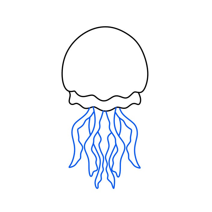 Hướng dẫn cách vẽ con sứa đơn giản và đẹp cho bé - Bước 2