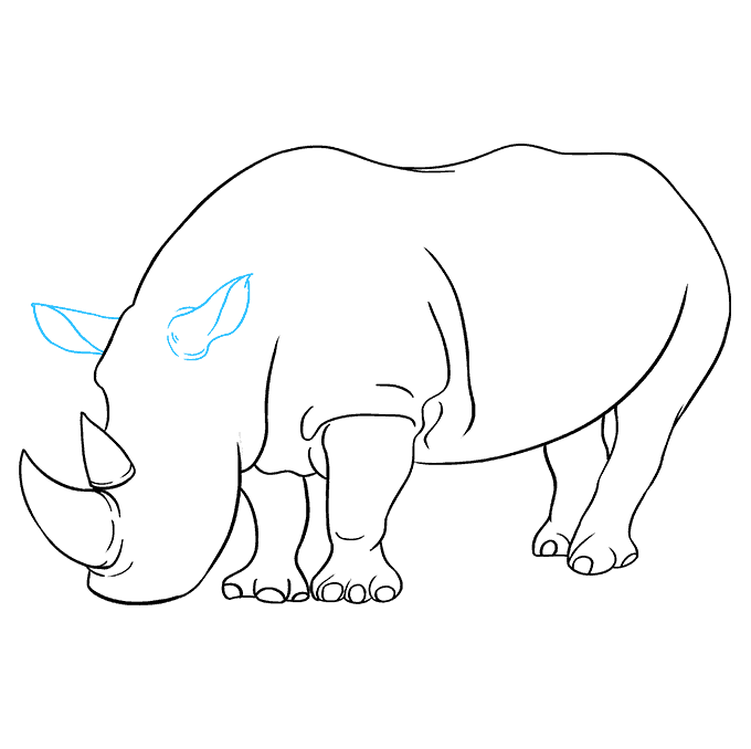 Hướng dẫn cách vẽ con tê giác to béo đơn giản và thật đẹp cho bé - Bước 5