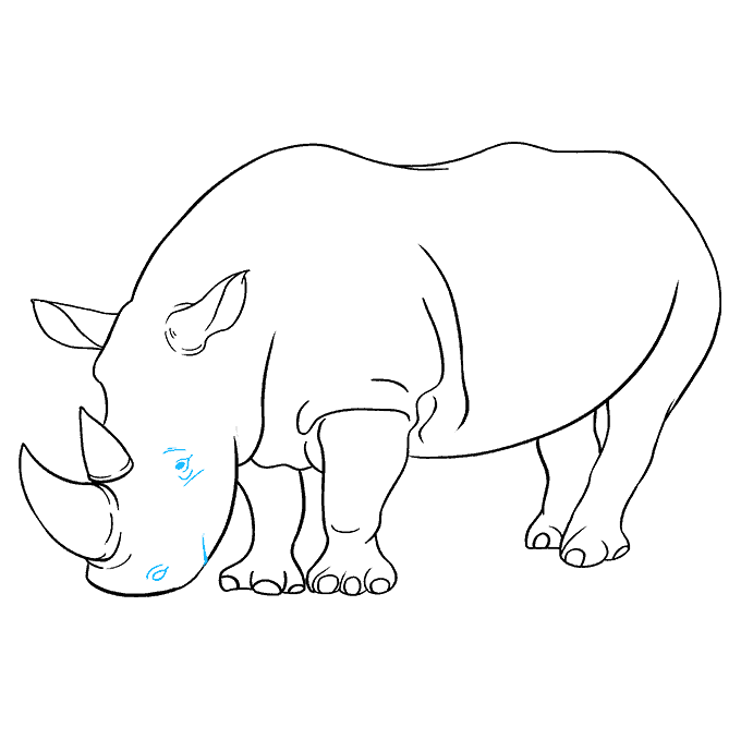 Hướng dẫn cách vẽ con tê giác to béo đơn giản và thật đẹp cho bé - Bước 6