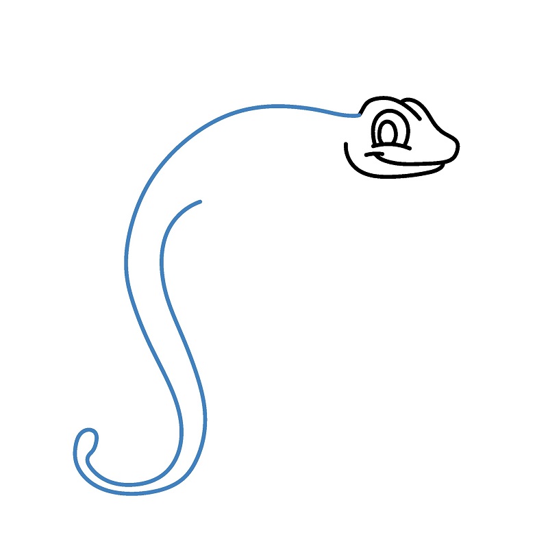 Hướng dẫn vẽ con thằn lằn cực kì đơn giản. - Bước 4