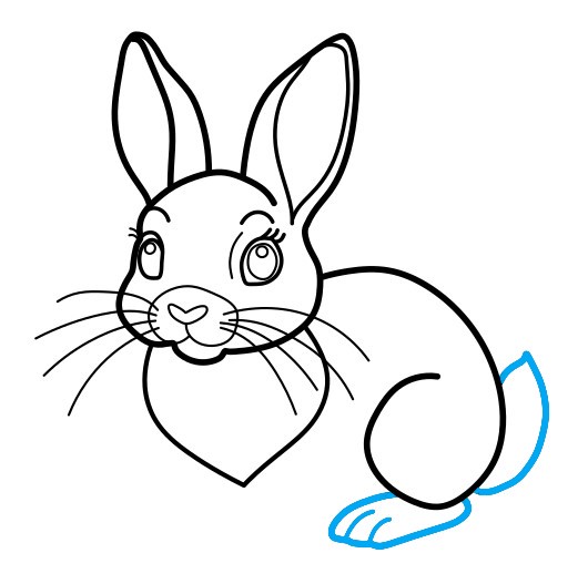 Hướng dẫn vẽ chú thỏ tai hồng - Bước 7