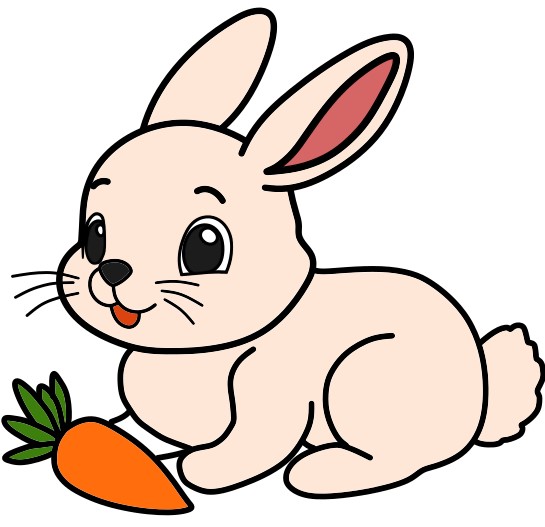 Hướng dẫn vẽ chú thỏ cùng củ cà rốt - Bước 9