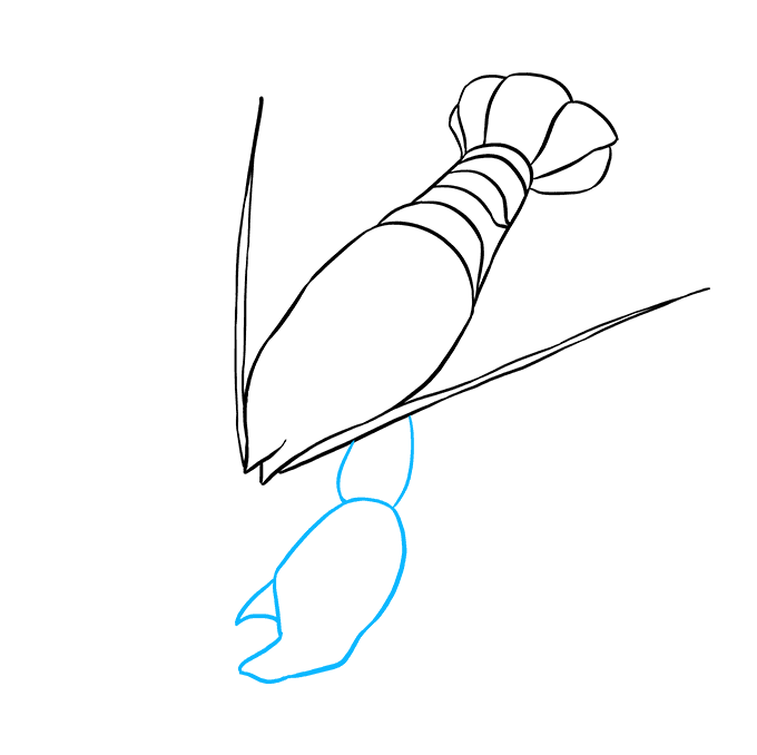 Hướng dẫn cách vẽ con tôm đơn giản và thật đẹp cho bé - Bước 5