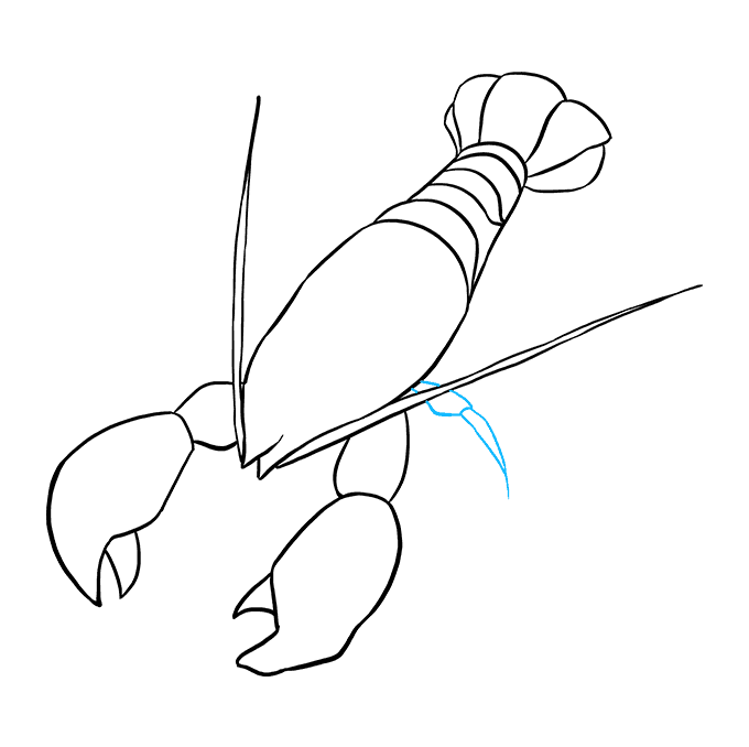 Hướng dẫn cách vẽ con tôm đơn giản và thật đẹp cho bé - Bước 6