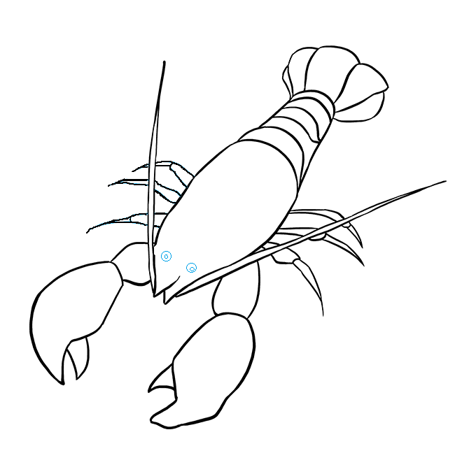 Hướng dẫn cách vẽ con tôm đơn giản và thật đẹp cho bé - Bước 7