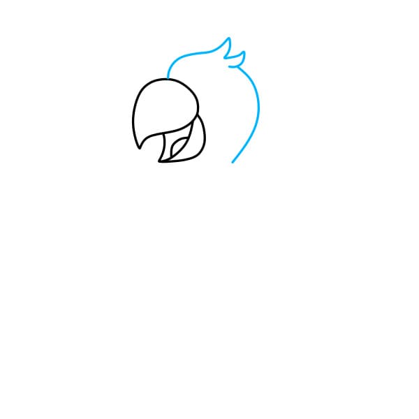 Hướng dẫn vẽ con vẹt đơn giản và đẹp cho bé - Bước 2