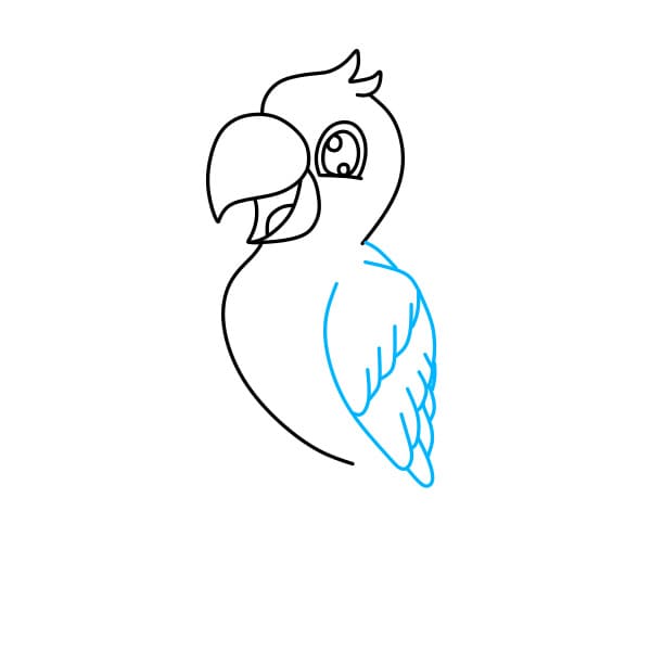 Hướng dẫn vẽ con vẹt đơn giản và đẹp cho bé - Bước 5