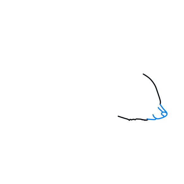 Hướng dẫn vẽ chú gấu hoang dã - Bước 2