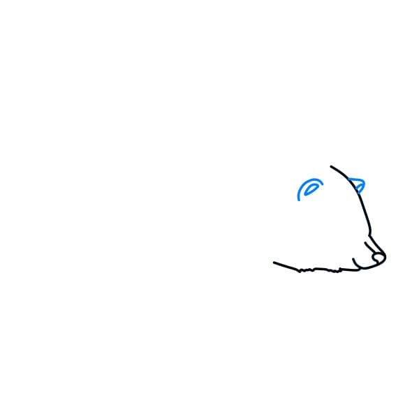 Hướng dẫn vẽ chú gấu hoang dã - Bước 3