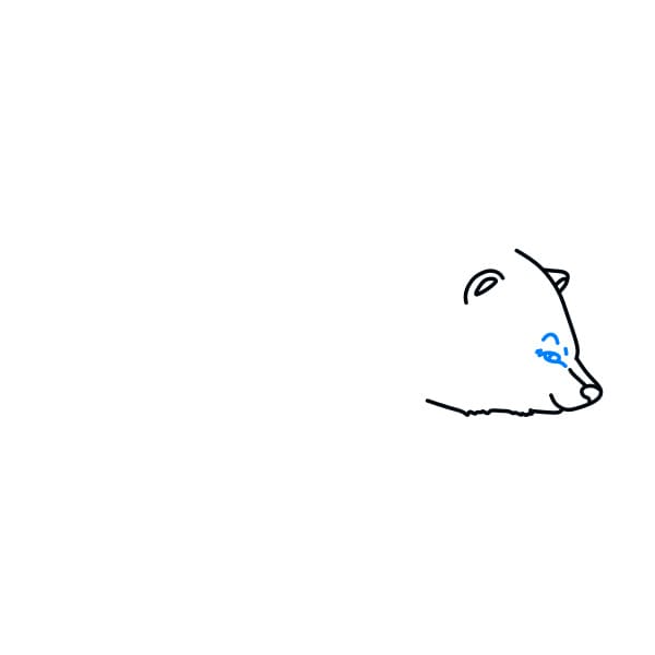 Hướng dẫn vẽ chú gấu hoang dã - Bước 4