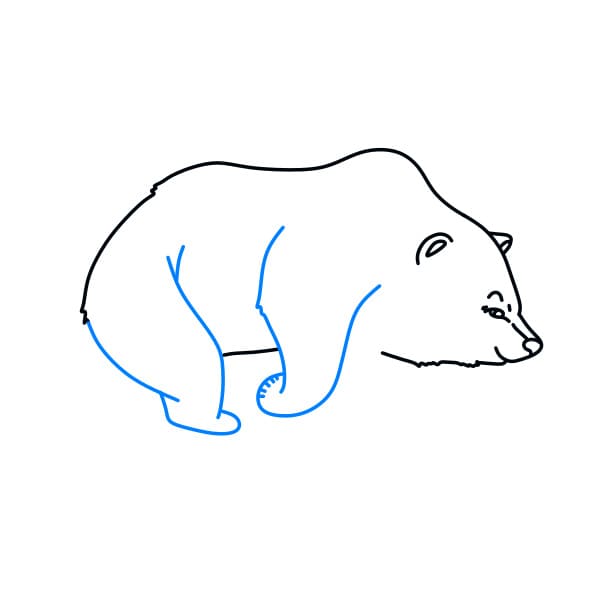 Hướng dẫn vẽ chú gấu hoang dã - Bước 6