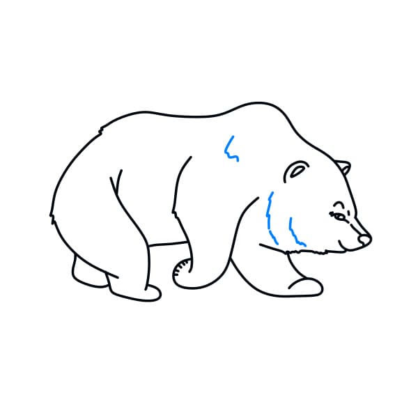 Hướng dẫn vẽ chú gấu hoang dã - Bước 7