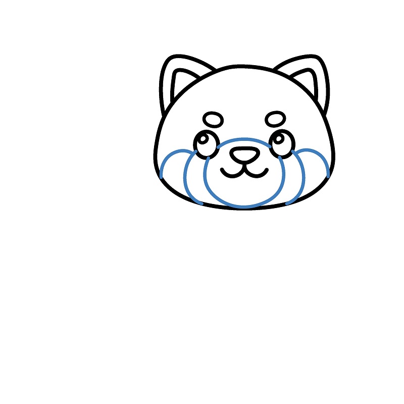 Hướng dẫn vẽ một con gấu trúc đỏ đáng yêu. - Bước 4